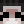bianca_grl