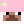 bonoilpopo
