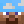 feber7