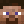 flaval_