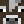 jacomollu13
