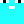 notsalva_