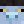 owosnowbro