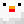 polletto_01