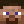 steveplayer2020