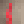 testadicammello
