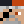 thelonegamer4