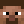 wallibearr