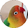 EttoreBrc