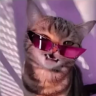 CallMeDen_
