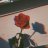 lux_35